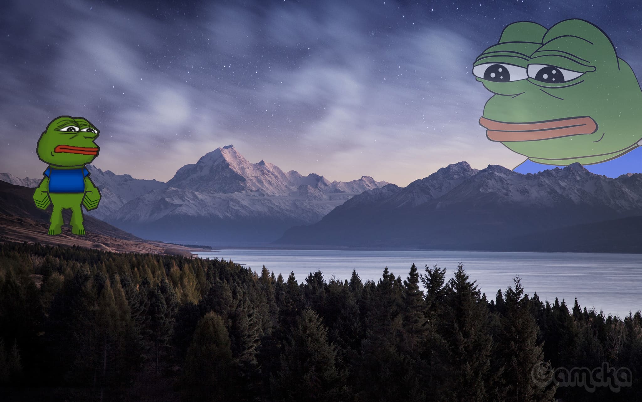 【Unknown】悲傷蛙 Sad Frog ( 佩佩蛙 Pepe the Frog ) - Gamcka.jpg