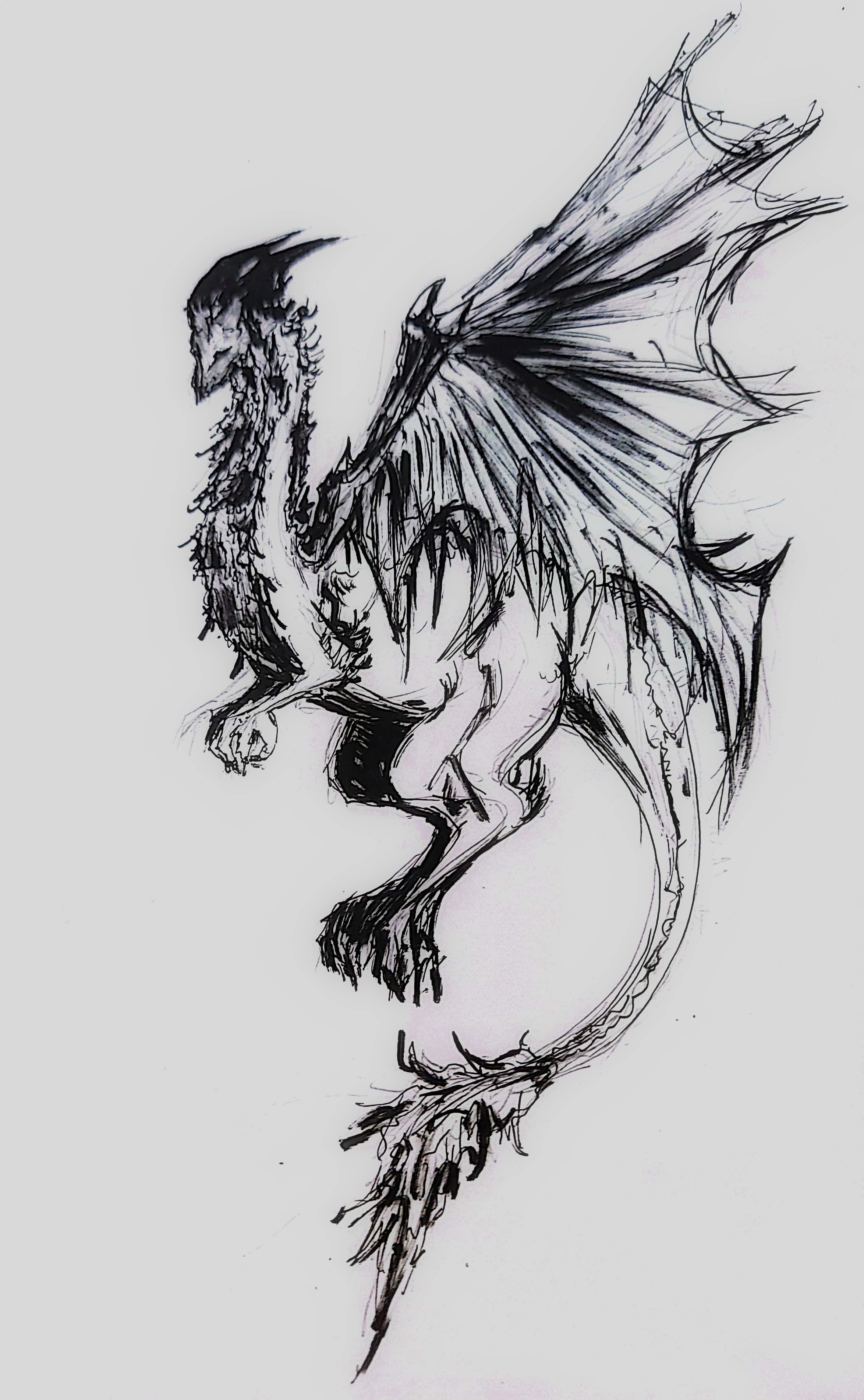 胖胖ㄉ龍龍-01.jpeg