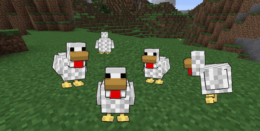 《Minecraft》雞 Chicken.png