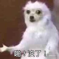 Shi