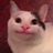 soysauce0u0