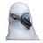 Peter900440